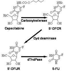 Capecitabine Tablets
